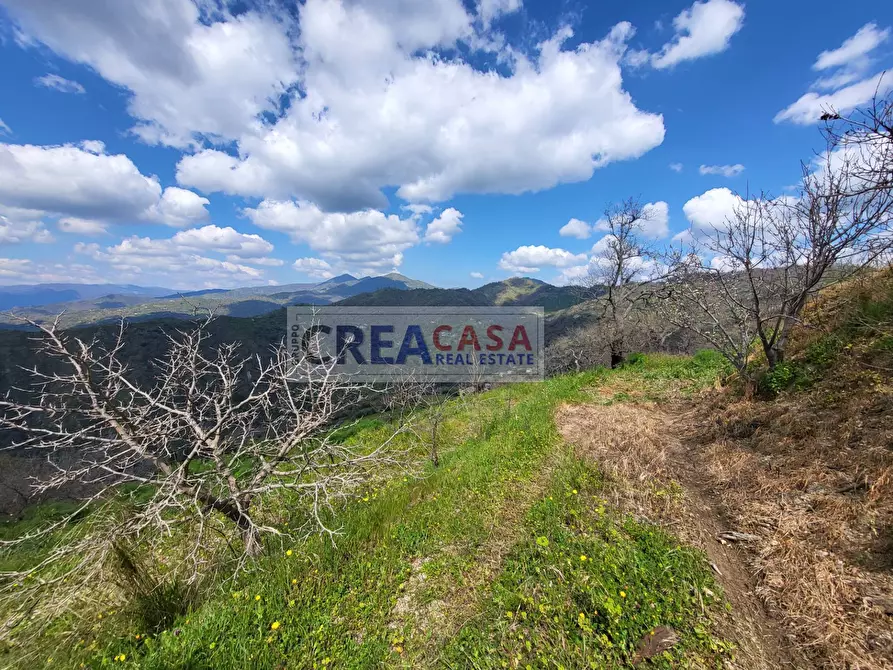 Immagine 19 di Terreno agricolo in vendita  a Antillo