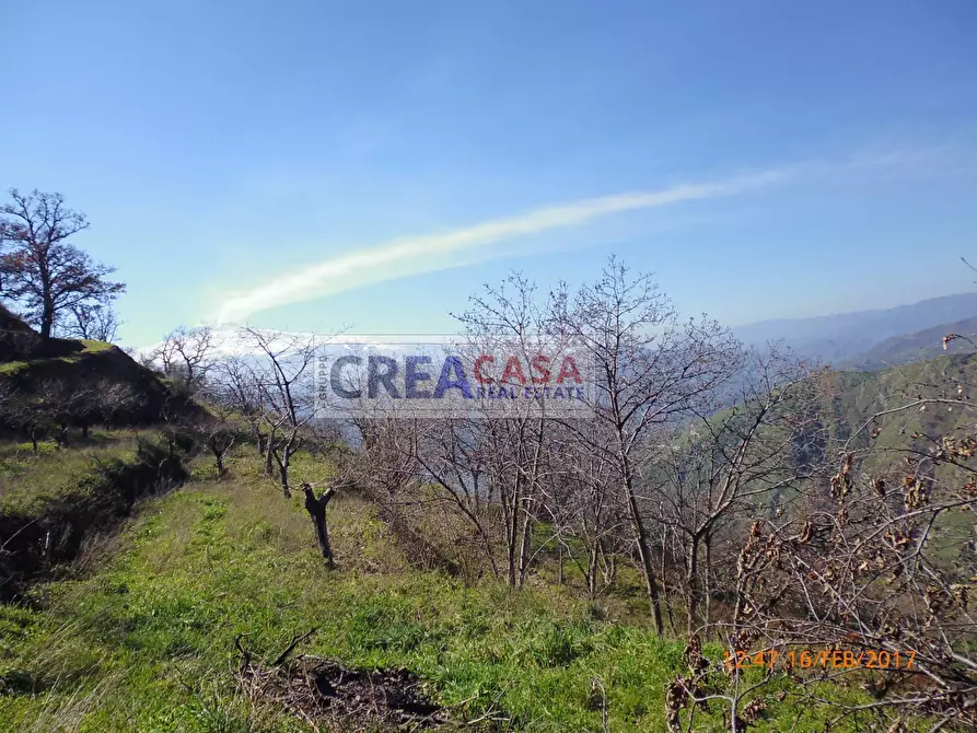 Immagine 20 di Terreno agricolo in vendita  a Antillo