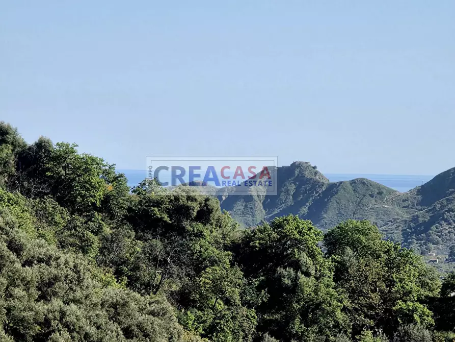 Immagine 48 di Villa in vendita  in c.da Postoleone a Graniti