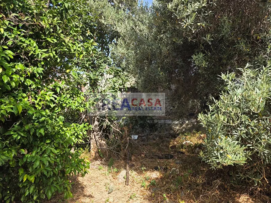 Immagine 22 di Terreno agricolo in vendita  in via Nazionale a Calatabiano