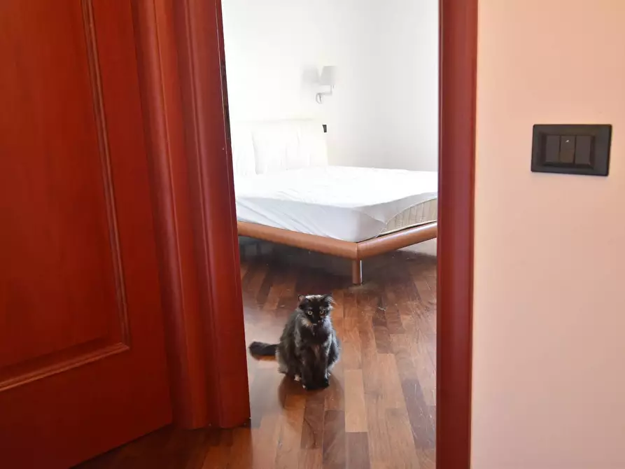 Immagine 44 di Appartamento in vendita  a Quartu Sant'elena