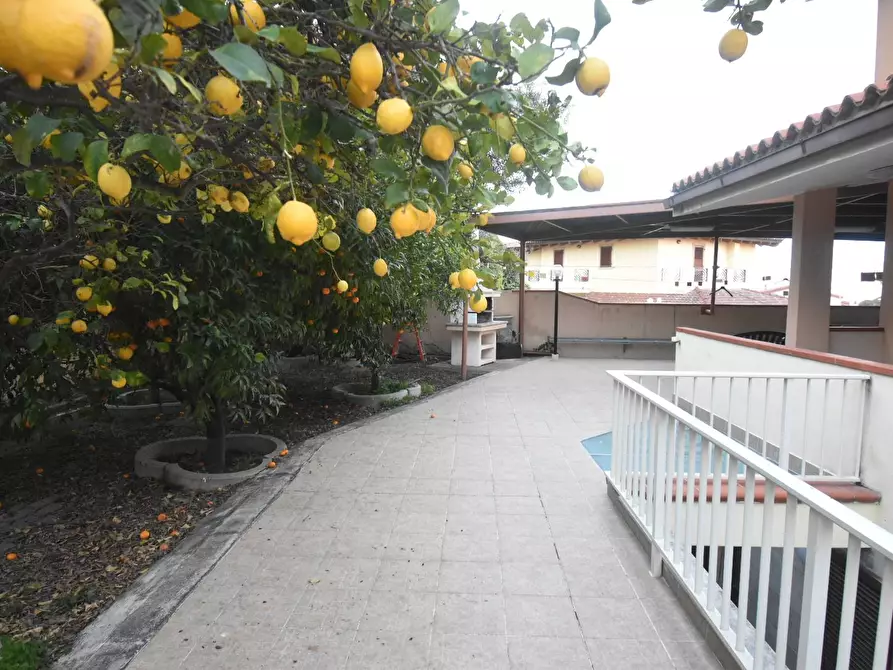 Immagine 12 di Villa in vendita  a Quartu Sant'elena