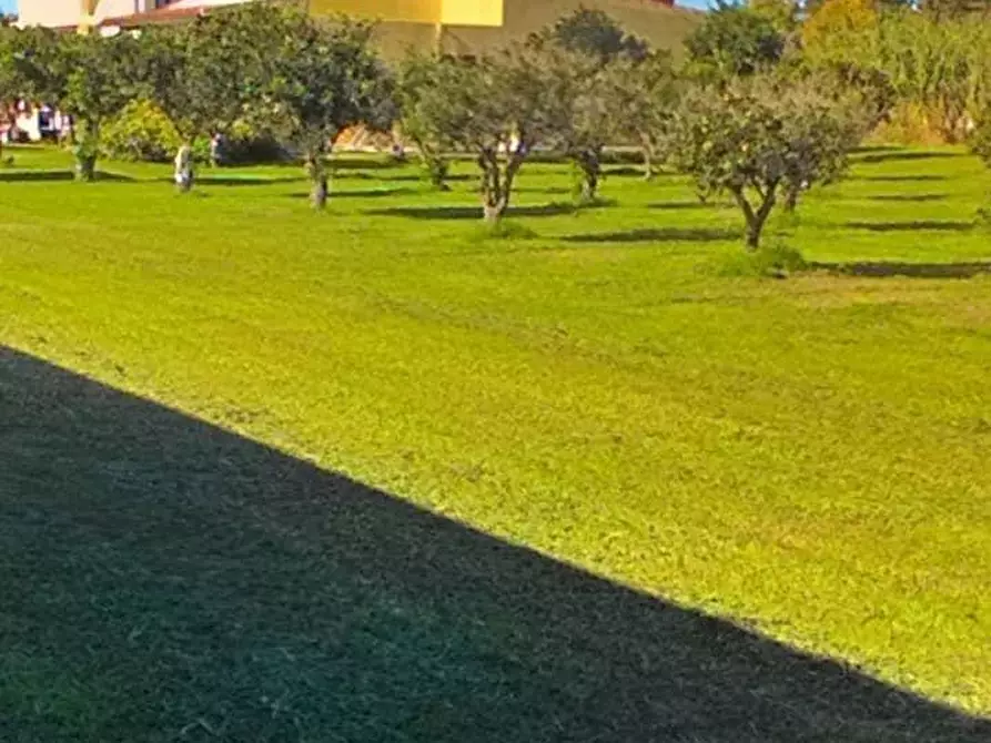 Immagine 19 di Villa in vendita  a Quartu Sant'elena