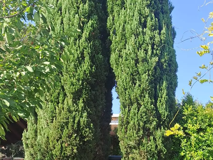 Immagine 23 di Villa in vendita  a Quartu Sant'elena