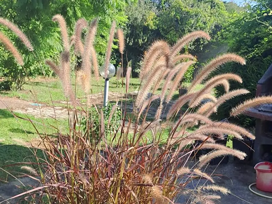 Immagine 31 di Villa in vendita  a Quartu Sant'elena