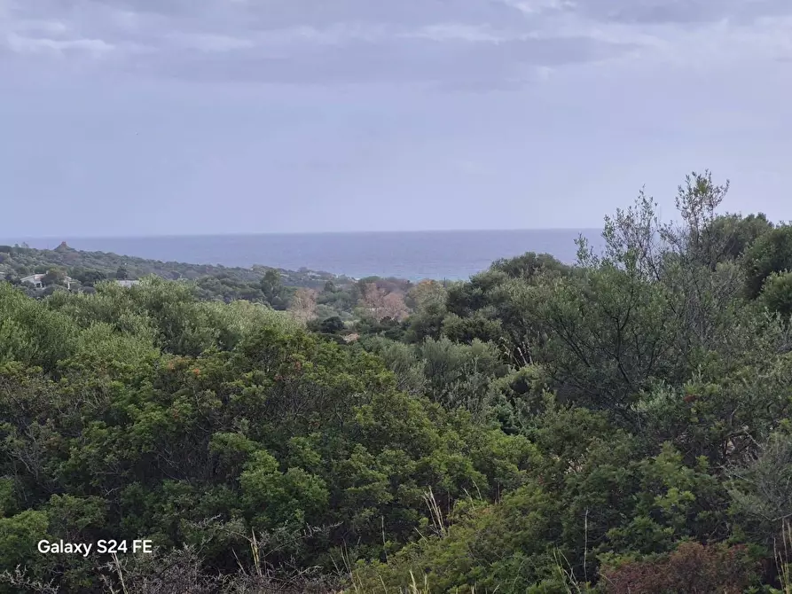 Immagine 1 di Terreno residenziale in vendita  a Quartu Sant'elena