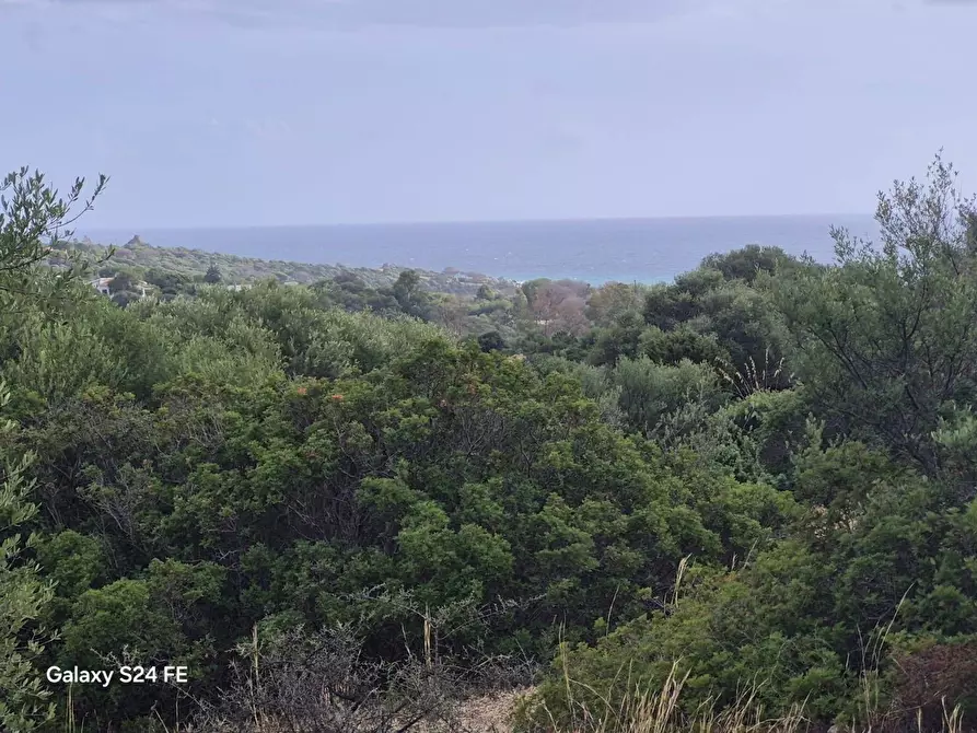 Immagine 2 di Terreno residenziale in vendita  a Quartu Sant'elena