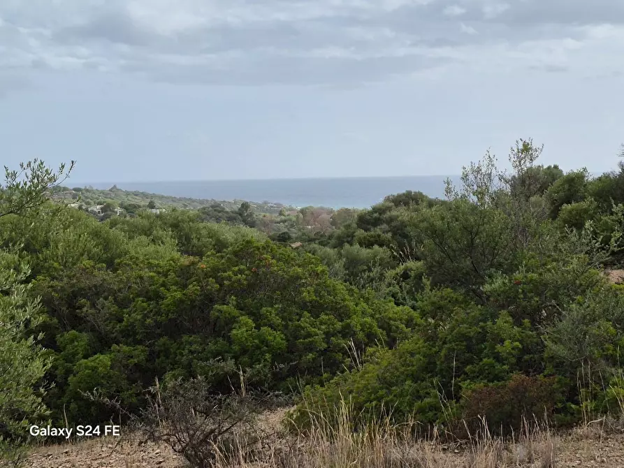 Immagine 6 di Terreno residenziale in vendita  a Quartu Sant'elena
