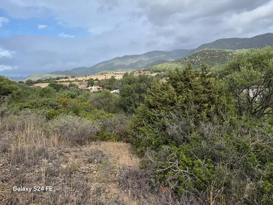 Immagine 7 di Terreno residenziale in vendita  a Quartu Sant'elena
