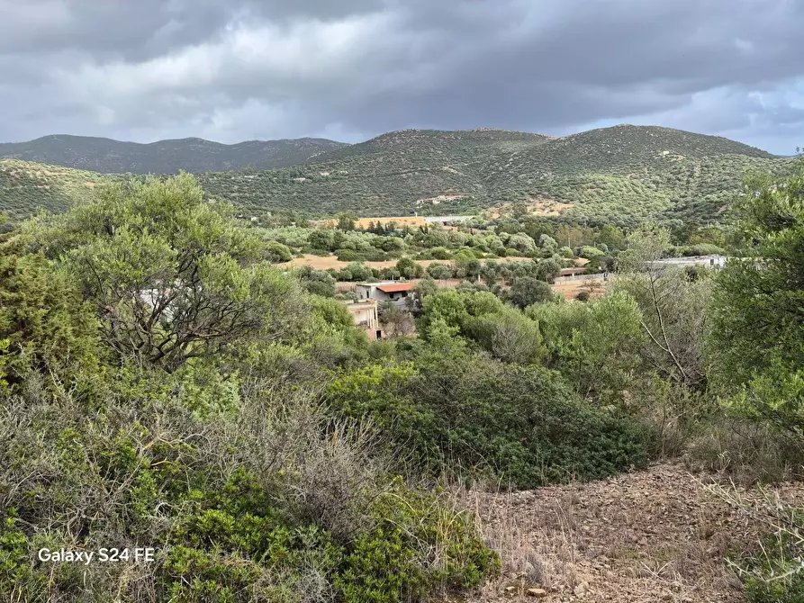 Immagine 8 di Terreno residenziale in vendita  a Quartu Sant'elena