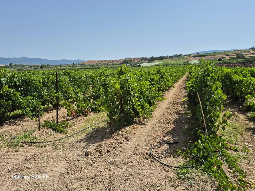 Immagine 2 di Terreno agricolo in vendita  in via is ammostus a Quartu Sant'elena