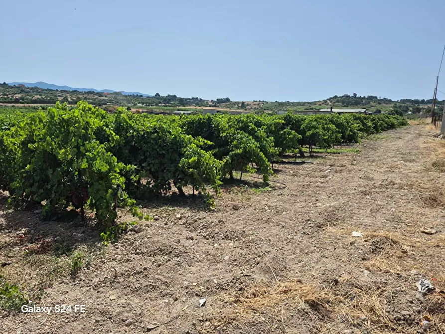 Immagine 3 di Terreno agricolo in vendita  in via is ammostus a Quartu Sant'elena