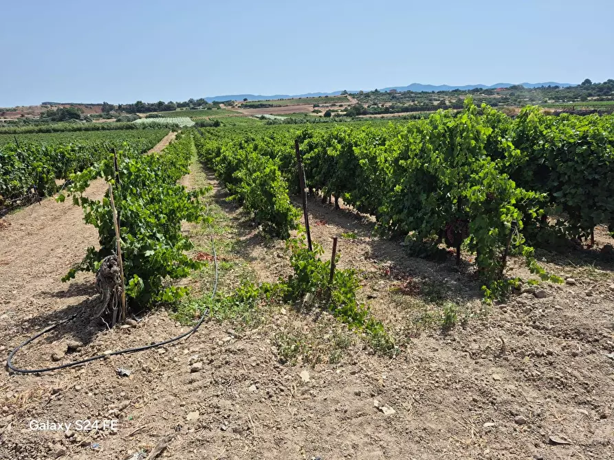 Immagine 4 di Terreno agricolo in vendita  in via is ammostus a Quartu Sant'elena