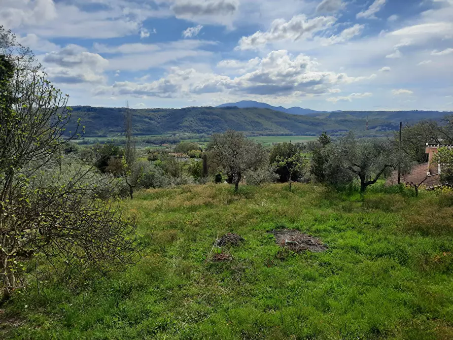 Immagine 44 di Villa in vendita  in Vocabolo Cipresso a Giove