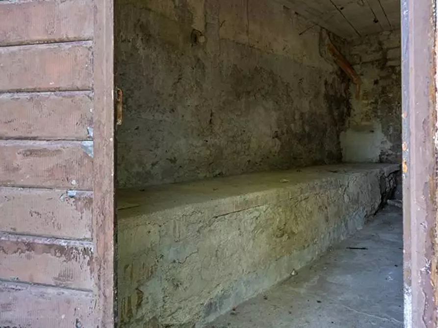 Immagine 24 di Casa semindipendente in vendita  in Via Tevere a Attigliano