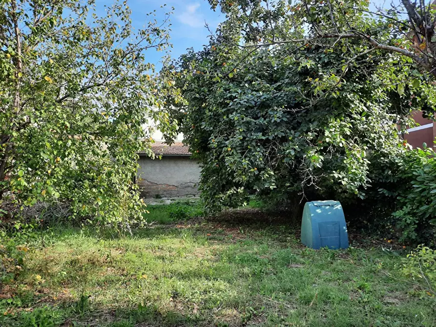 Immagine 63 di Casa indipendente in vendita  in Sipicciano - Via Vittorio Veneto a Bomarzo