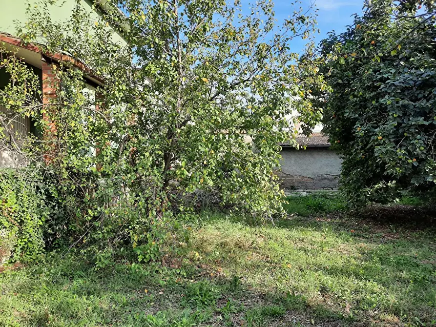 Immagine 64 di Casa indipendente in vendita  in Sipicciano - Via Vittorio Veneto a Bomarzo