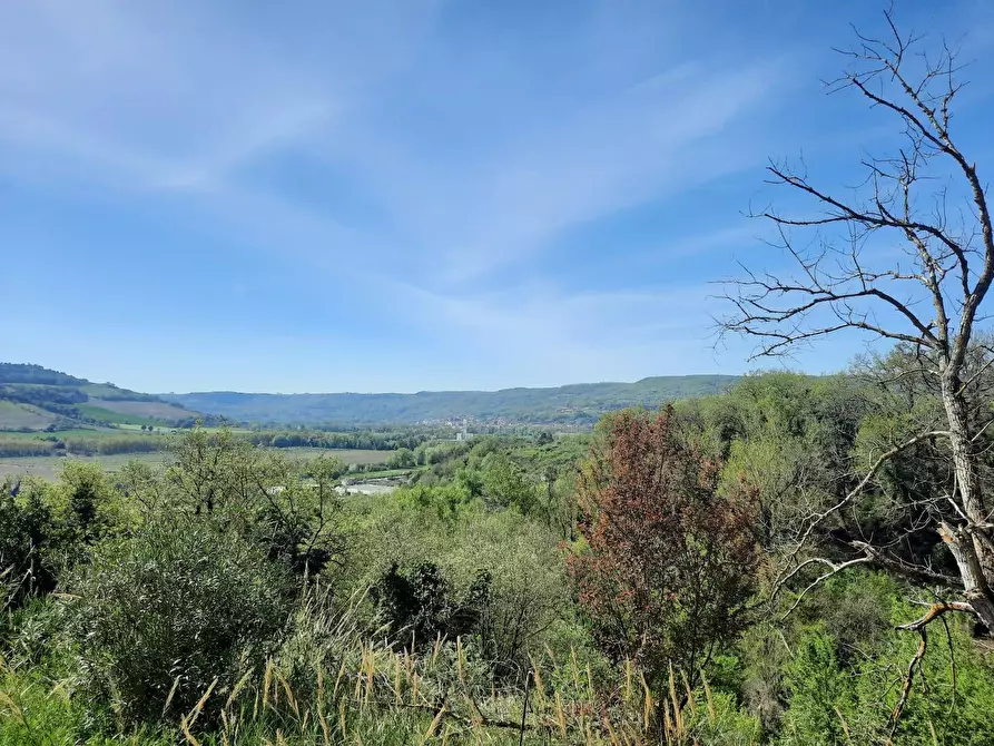 Immagine 40 di Casa indipendente in vendita  in Vocabolo Caldare 5 a Orte
