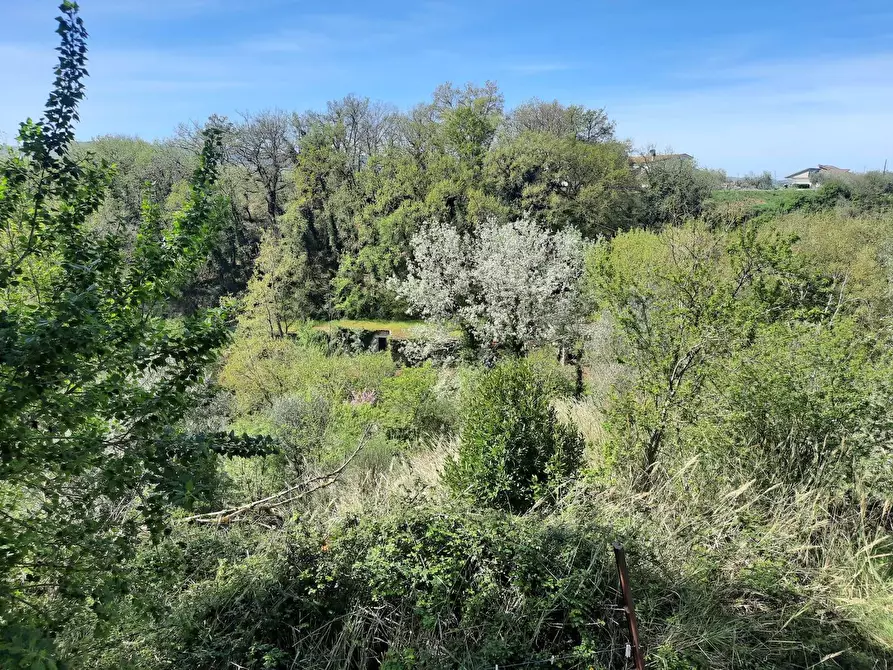Immagine 39 di Casa indipendente in vendita  in Vocabolo Caldare 5 a Orte
