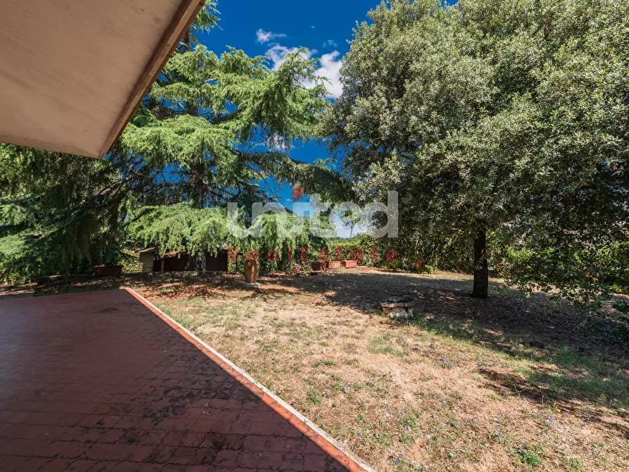 Immagine 19 di Villa in vendita  in Via di Salè a Frascati