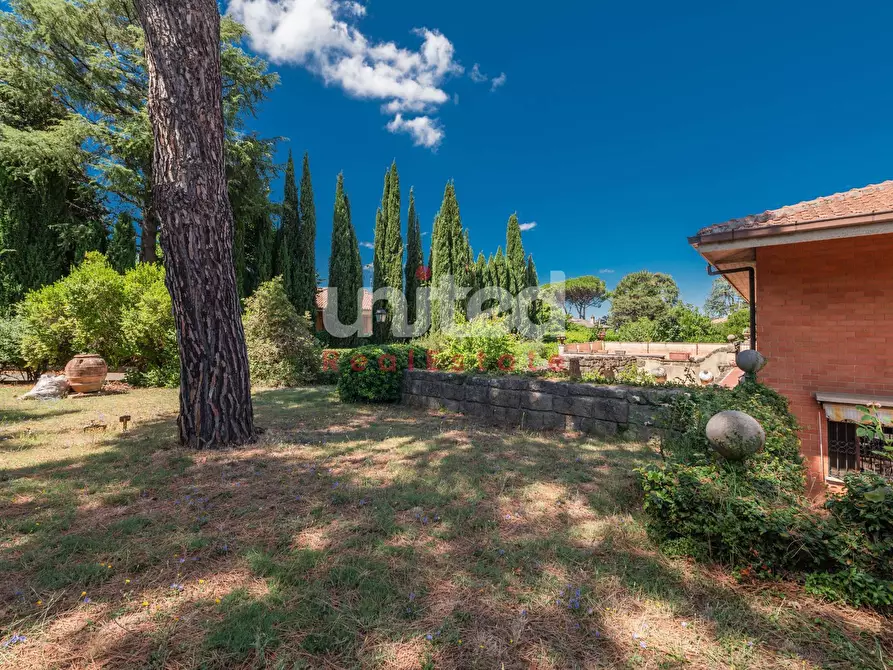 Immagine 42 di Villa in vendita  in Via di Salè a Frascati