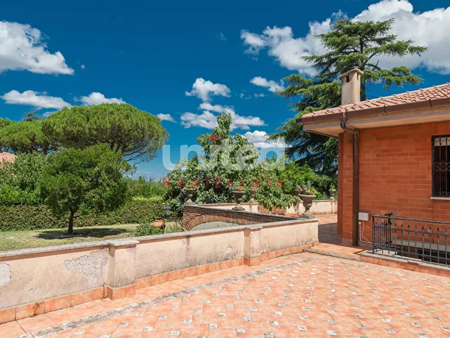 Immagine 45 di Villa in vendita  in Via di Salè a Frascati