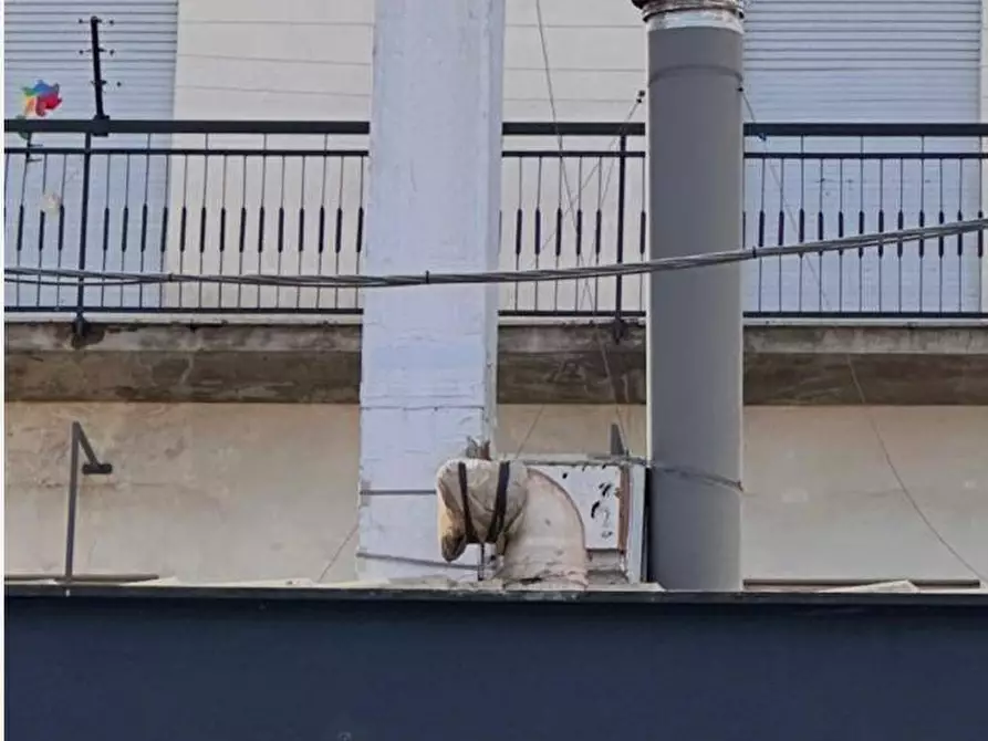 Immagine 3 di Attività commerciale in affitto  in Via ferrantelli 19 a Palermo