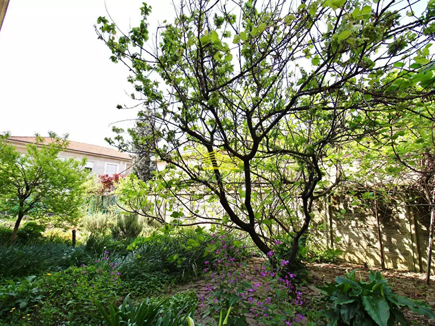 Immagine 25 di Villa in vendita  in via enrico toti a Agrate Brianza