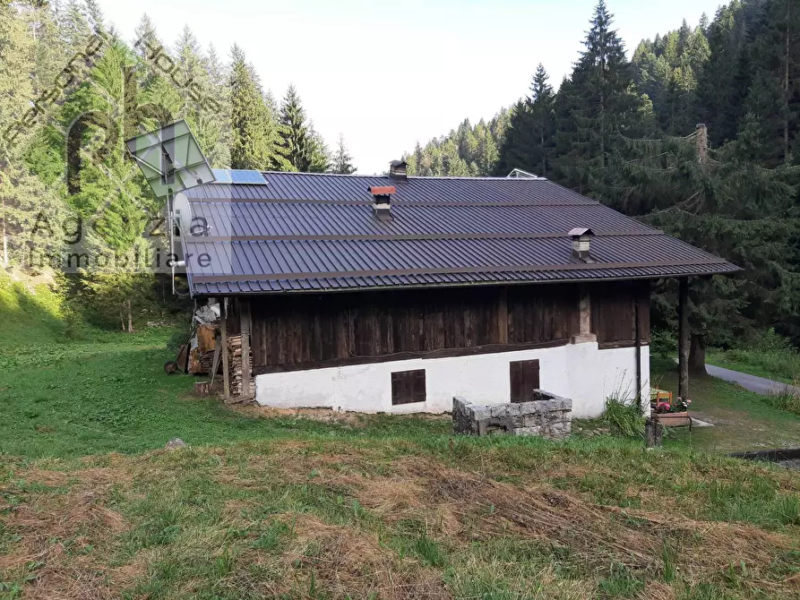 Immagine 3 di Rustico / casale in vendita  in Faserno a Storo