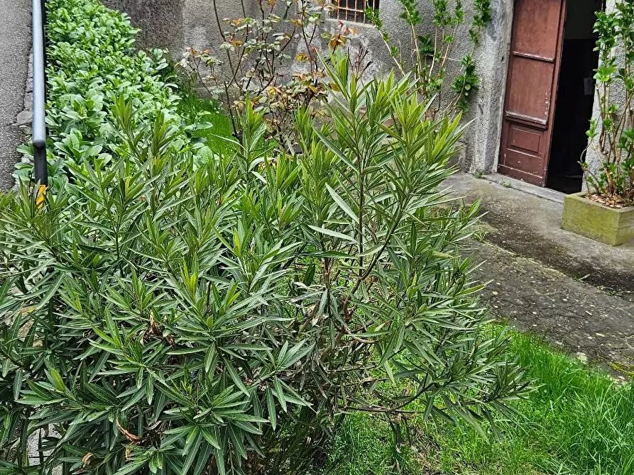 Immagine 3 di Multiproprietà in vendita  in VIA 24 MAGGIO 6 a Storo