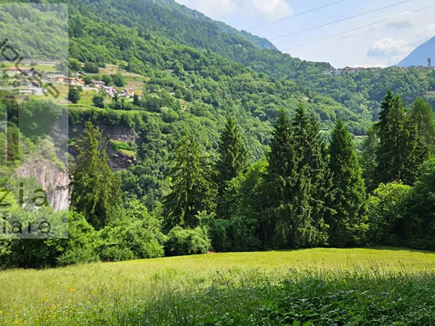 Immagine 4 di Casa indipendente in vendita  in LOC. RAVIZOLI a Bocenago