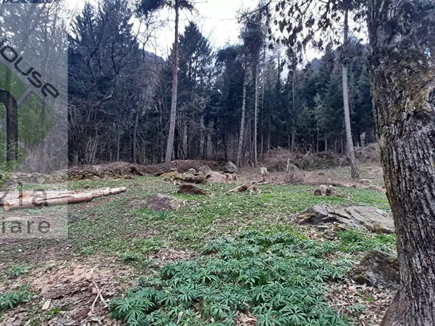 Immagine 7 di Casa indipendente in vendita  in via porte a Borgo Chiese