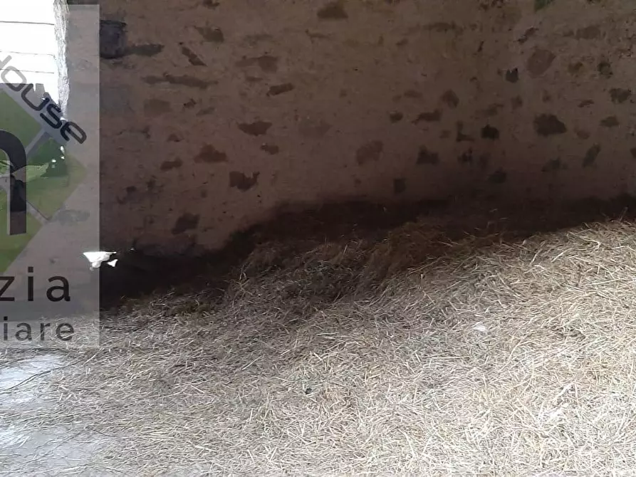 Immagine 14 di Casa indipendente in vendita  in via porte a Borgo Chiese