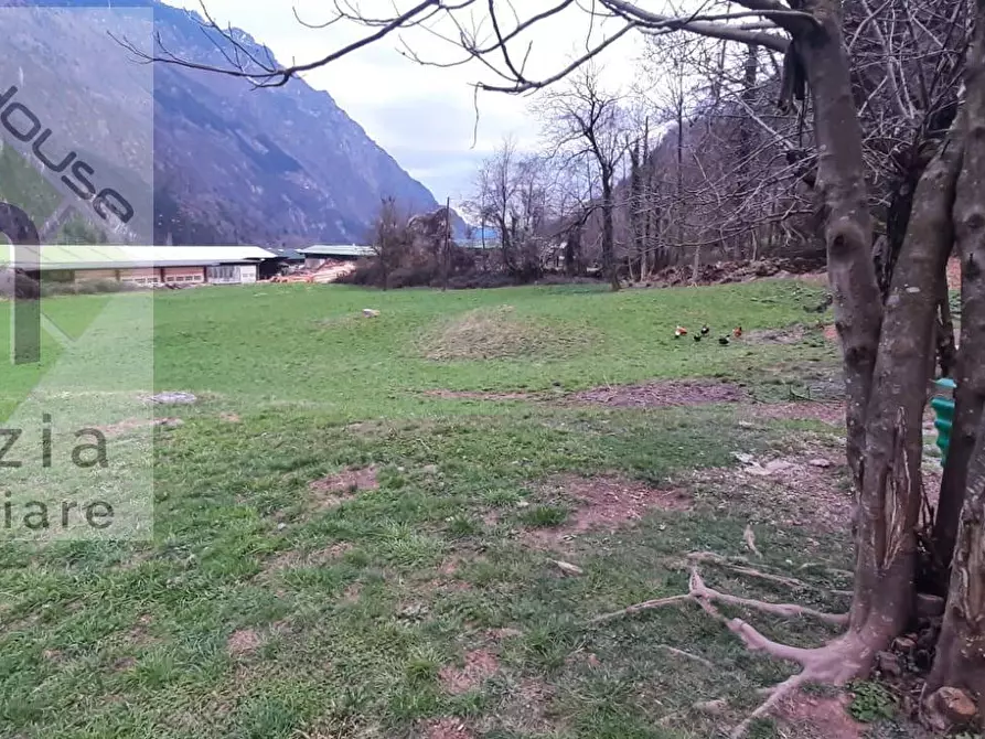 Immagine 18 di Casa indipendente in vendita  in via porte a Borgo Chiese