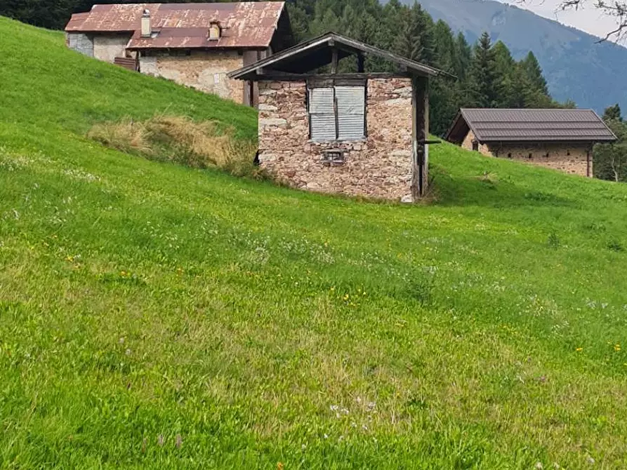 Immagine 5 di Casa indipendente in vendita  a Castel Condino