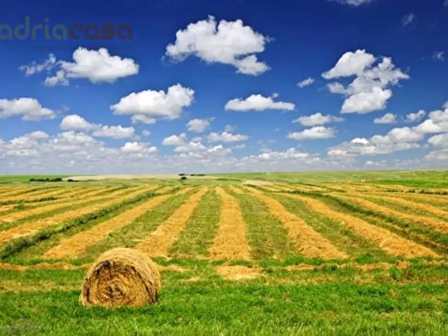 Immagine 1 di Terreno agricolo in vendita  in via marzabotto a Coriano