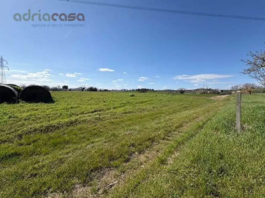 Immagine 2 di Terreno agricolo in vendita  in Via Tavoleto a Misano Adriatico