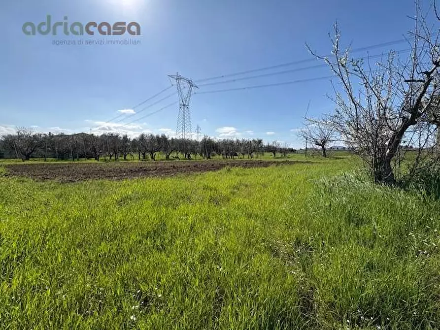 Immagine 1 di Terreno agricolo in vendita  in Via Tavoleto a Misano Adriatico