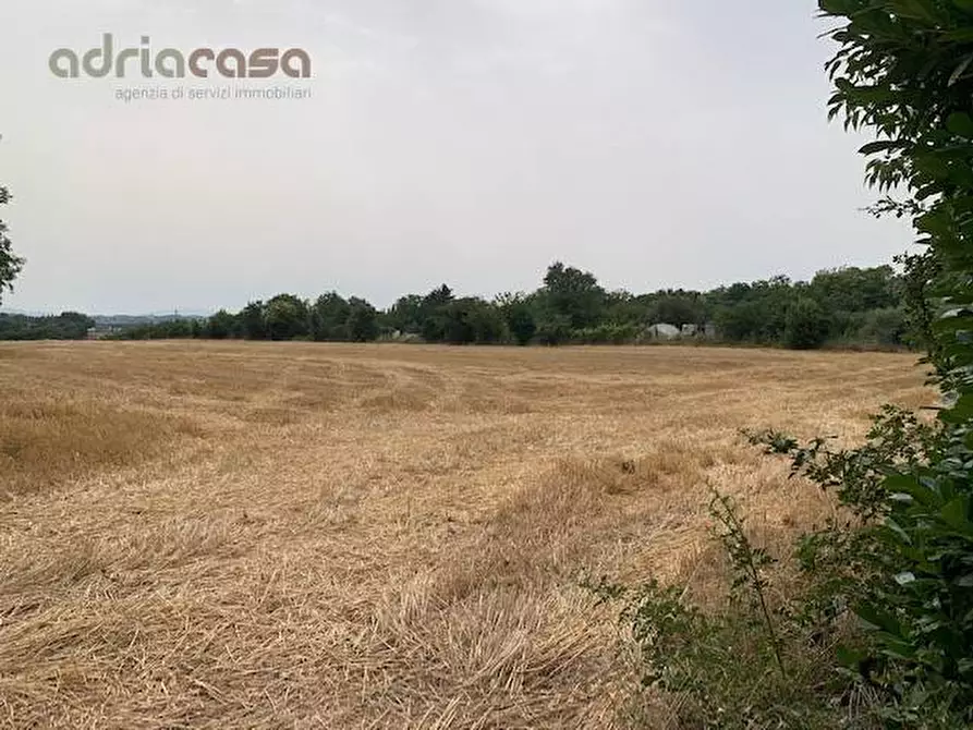 Immagine 2 di Terreno agricolo in vendita  in Via Ponte Conca a Misano Adriatico