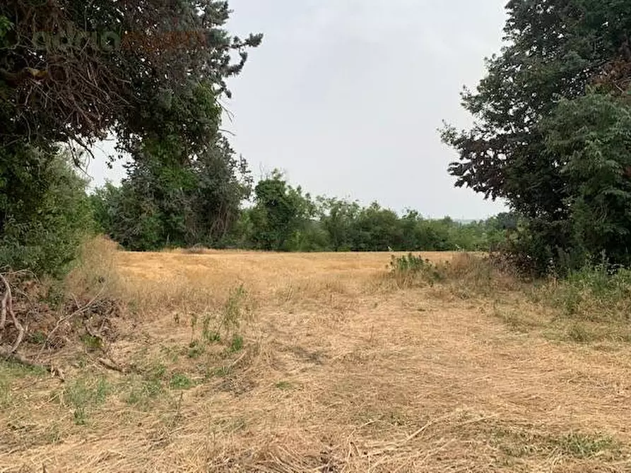 Immagine 3 di Terreno agricolo in vendita  in Via Ponte Conca a Misano Adriatico