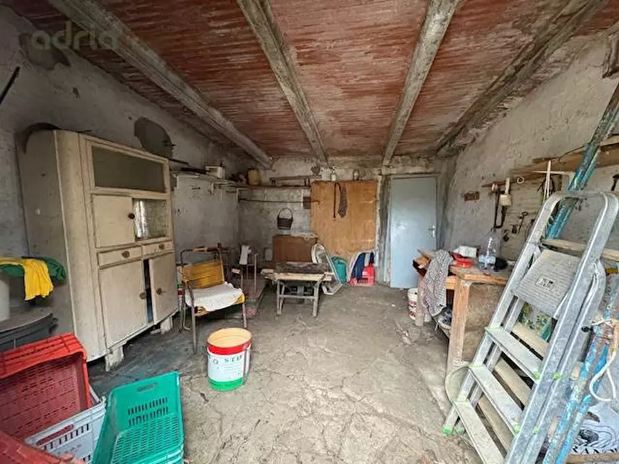 Immagine 4 di Terreno agricolo in vendita  in Via Europa a San Clemente