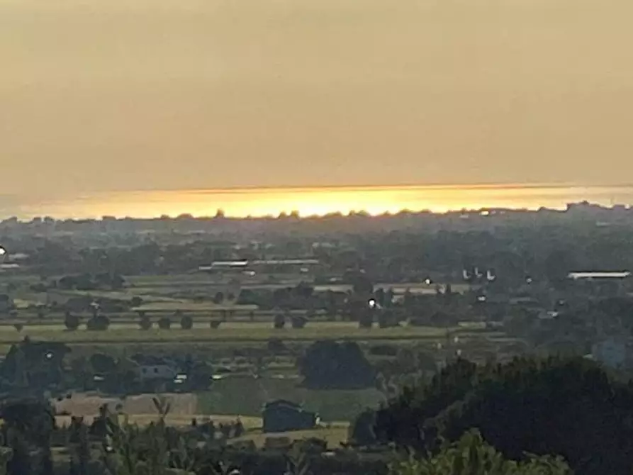 Immagine 3 di Terreno agricolo in vendita  in Via Pertini a Coriano