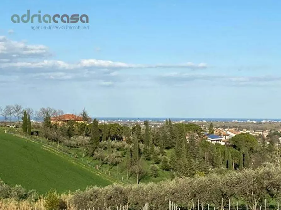 Immagine 1 di Terreno agricolo in vendita  in Via Pertini a Coriano