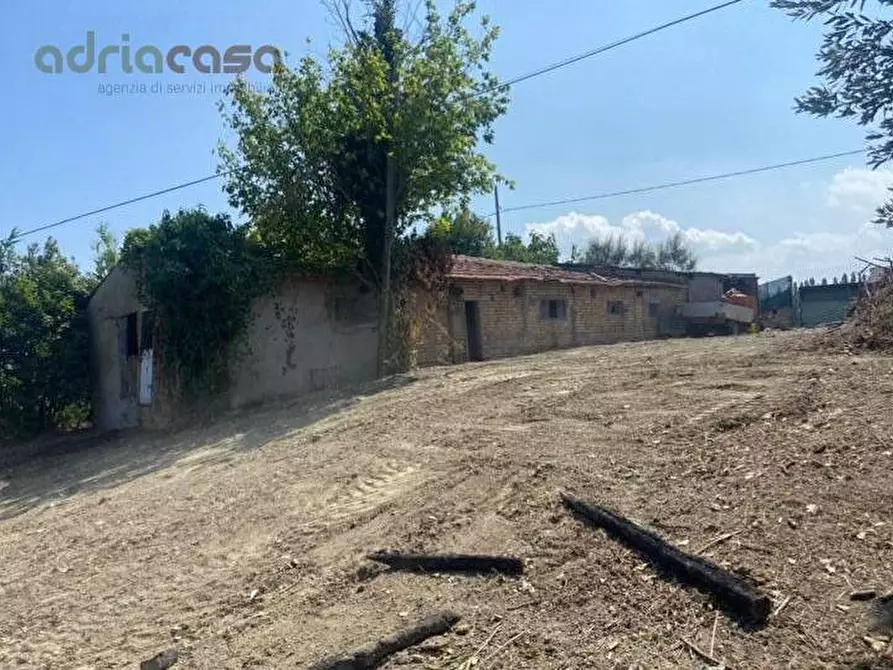 Immagine 2 di Terreno agricolo in vendita  in Via Pertini a Coriano