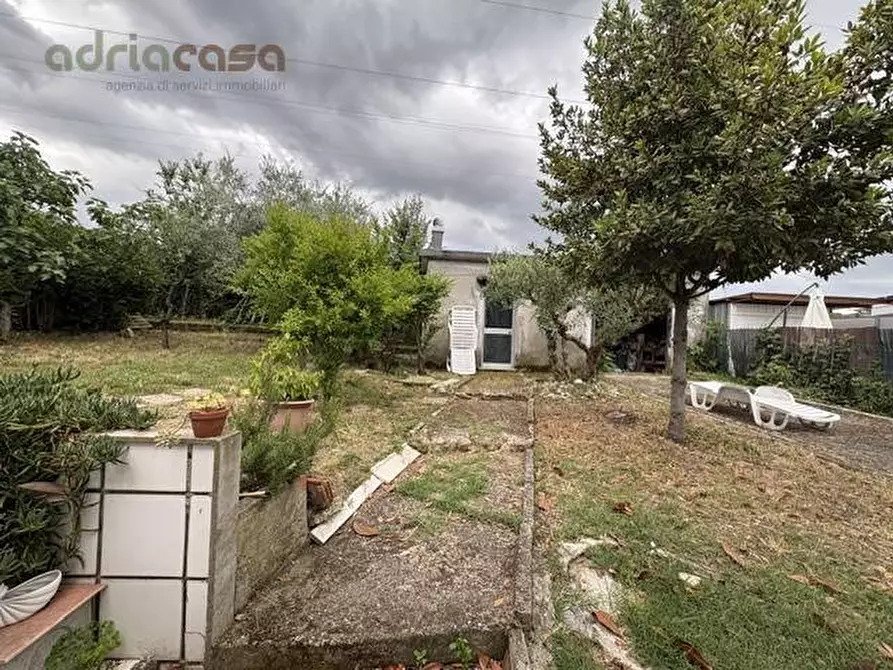 Immagine 11 di Villa in vendita  in Viale Malta a Riccione