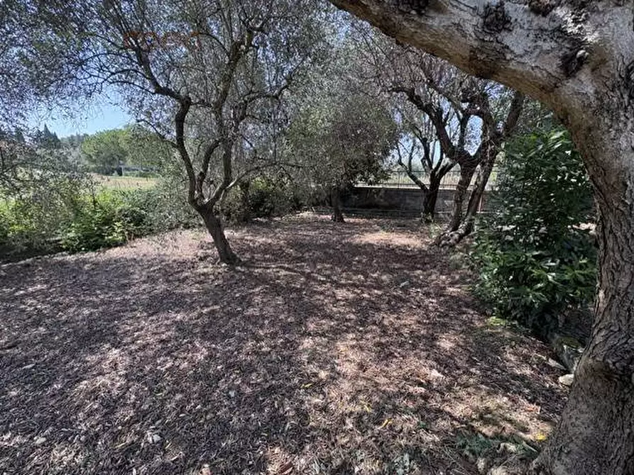 Immagine 7 di Casa indipendente in vendita  in Via Saffi a Misano Adriatico
