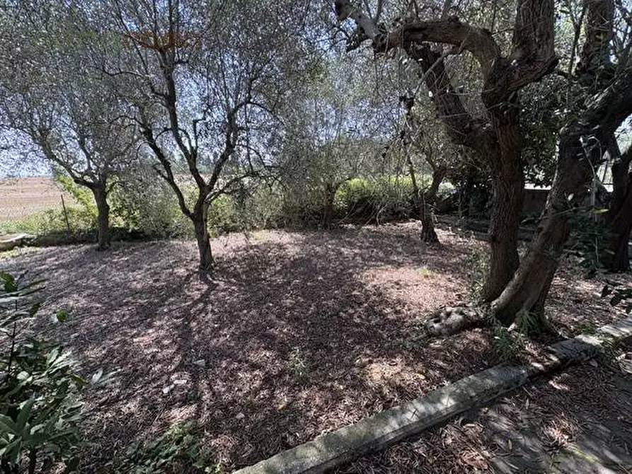 Immagine 8 di Casa indipendente in vendita  in Via Saffi a Misano Adriatico