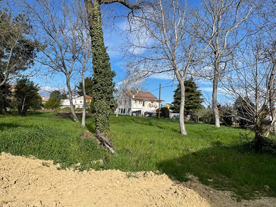 Immagine 2 di Terreno residenziale in vendita  in Via Elsa Morante a Cepagatti