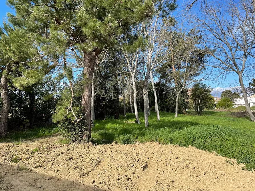 Immagine 3 di Terreno residenziale in vendita  in Via Elsa Morante a Cepagatti