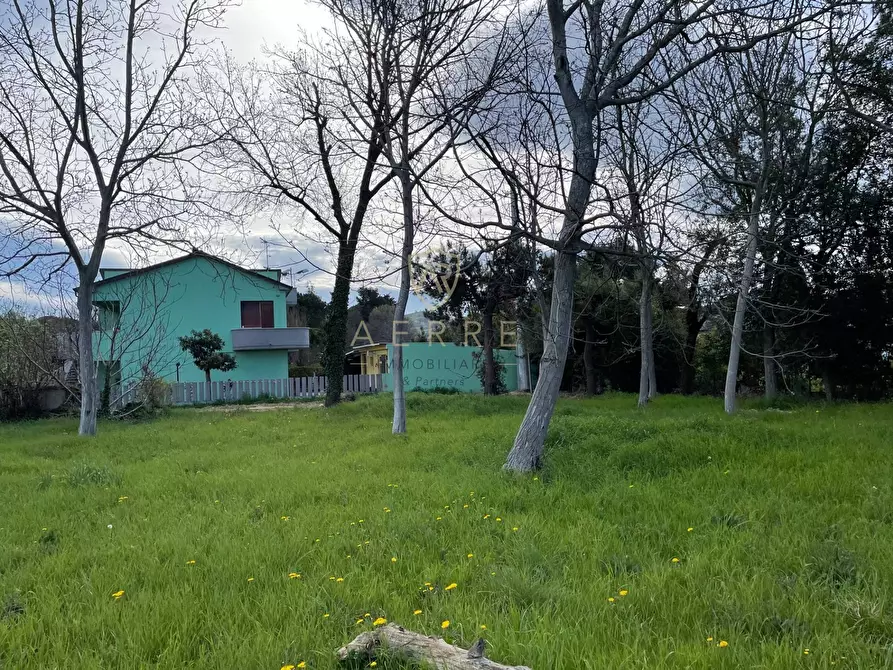 Immagine 6 di Terreno residenziale in vendita  in Via Elsa Morante a Cepagatti